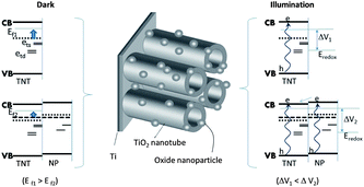 (Left) The schematic illustrates the change in the Fermi-levels (Ef1, Ef2) of the electrodes as a result of the shallow (ets) and deep (etd) surface states and (right) the UV-vis illumination of the different electrodes creates photogenerated charge pairs (e–h) that results in a change in the open circuit potential (ΔV1, ΔV2).