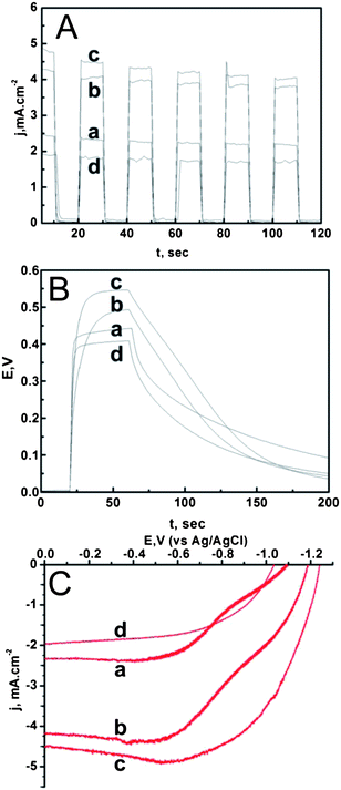 The photoelectrochemical measurements performed on the T_NT after CdSe deposition include (A) voltammetry (J–V), (B) chronoamperometry (J–t), and (C) chronopotentiometry (V–t). Each of these graphs shows the responses of (a) T_NT–CdSe, (b) T_NT–T_NP–CdSe, (c) T_NT–ZnO–CdSe, and (d) T_NT–H2O2–CdSe electrodes in the presence of 0.1 M aqueous tetrabutyl ammonium sulfide (TBAS) as the electrolyte performed under UV-vis illumination.
