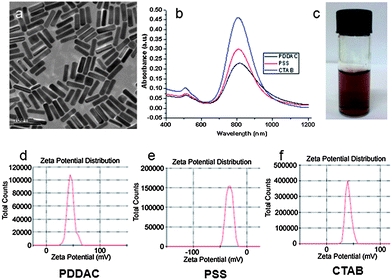 Characterization of Au NRs. (a) TEM image of the CTAB-coated Au NRs. (b) UV-Vis-NIR absorption spectra of PDDAC-coated Au NRs, PSS-coated Au NRs and CTAB-coated Au NRs. (c) Suspension of Au NRs. Zeta potential distribution of PDDAC (d), PSS (e) and CTAB-coated Au NRs (f).