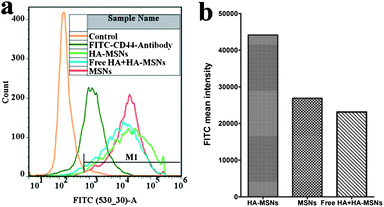 (a) Fluorescence activated cell sorter (FACS) analysis of the FITC intensity of the cells treated with an FITC labeled CD44 antibody, MSNs, and HA-MSNs in the absence or in the presence of free HA (10 mg mL−1); (b) bar chart of FITC mean intensity of the gated positive cells (M1 indicated in Fig. 4a) treated with FITC modified silica particles.