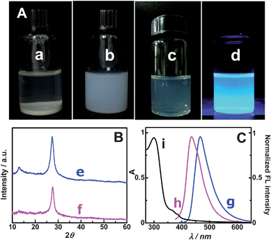 Comparison of g-C3N4 nanoflake particles (NFPs) with g-C3N4 bulk material. (A) The dispersion of g-C3N4 bulk material (a) and concentrated g-C3N4 NFPs (b) in water, and the photos of diluted g-C3N4 NFP solution under white light (c) and 365 nm UV light (d); (B) XRD patterns of g-C3N4 bulk material (e) and g-C3N4 NFPs (f); (C) FL emission spectra of g-C3N4 bulk material (g) and g-C3N4 NFPs (h), and UV-vis spectrum of g-C3N4 NFPs in aqueous solution (i).