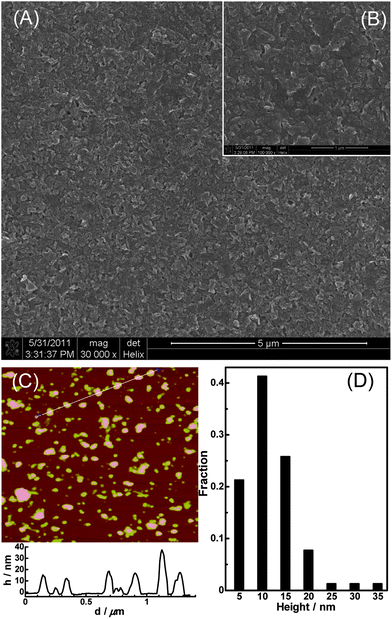 SEM images of g-C3N4 NFPs film on a glassy carbon substrate with scale bar of 5 μm (A) and 1 μm (B), and AFM image of g-C3N4 NFPs (C) and the statistical height distribution of g-C3N4 NFPs based on the measurement of 226 particles (D).