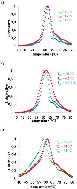 Results from UV-melting curve experiments with unmodified 4F M1.3 origami (green), 4F M1.3 origami with globally 5′-PyPy capped staples (blue) and 4F M1.3 origami with globally 5′-PyC capped staples (red). All curves were measured at 260 nm and 50 nM concentrations of M1.3. The first derivatives of the melting curves are shown. See Fig. S4 (ESI) for plots of primary data. (a) Heating curves at a rate of 0.2 °C min−1, (b) heating curves at a rate of 1 °C min−1, and (c) cooling curves at a rate of 0.2 °C min−1; Tm = UV-melting point.