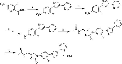 Synthetic route of the novel compound FYL-67. (i) 2-(pyridin-2-yl)malonaldehyde, p-TsOH (cat.), ethanol, reflux, 2 h; (ii) Fe, HCl, 95% ethanol, 1 h; (iii) Cbz–Cl, K2CO3, CH2Cl2, 2 h; (iv) (S)-1-acetamido-3-chloropropan-2-yl acetate, LiOt-Bu, THF, r.t.; (v) HCL (g), acetone, ethyl ether.