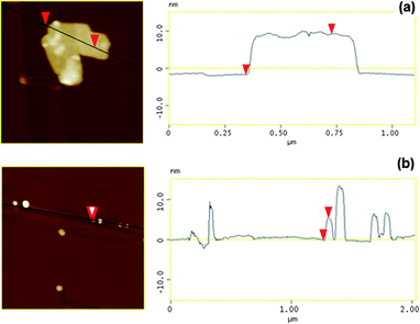 AFM images of (a) Ca2Al–NO3 and (b) Mg3Al–CO3 LDHs synthesised at 50 bar and 75 °C.