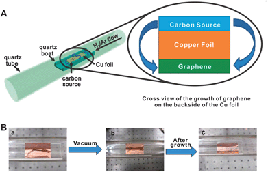 Diagram of the experimental apparatus for the growth of graphene from food, insects, or waste in a tube furnace (A), and growth of graphene from a cockroach leg (B) showing one roach leg on top of the Cu foil (a), the roach leg under vacuum (b) and the residual roach leg after annealing at 1050 °C for 15 min (c). The pristine graphene grew on the bottom side of the Cu film (not shown).209 Reproduced with permission of the American Chemical Society.