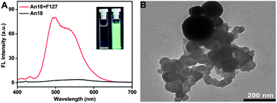 (A) FL spectra of An18 in THF and surfactant modified nanoparticles (An18–F127) dispersed in water. Inset: FL image of An18 in THF and An18–F127 in water taken at 365 nm UV light; (B) TEM image of An18–F127 NPs dispersed in water, scale bar = 200 nm.