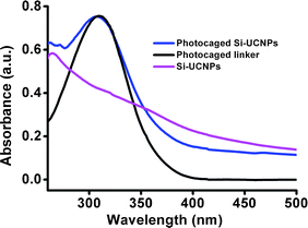 UV-vis spectra of Si-UCNPs, photocaged linker and photocaged linker conjugated Si-UCNPs.