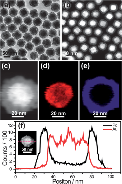 Au@Pd core–shell nanodendrites. (a) TEM image. (b and c) HAADF-STEM images. (d and e) EDX elemental maps of Au and Pd, respectively. (f) Line profiles of Au and Pd recorded along the dashed line shown in the STEM image of the Au@Pd nanostructures, which is given in the inset.