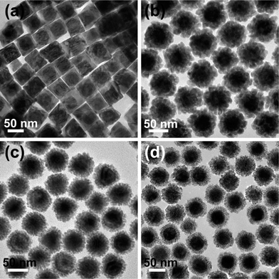 TEM images of the Au@Pd core–shell nanostructures obtained from growth at different CTAB-to-CTAC molar ratios. (a) 5 : 0, (b) 4 : 1, (c) 2 : 3, and (d) 0 : 5.