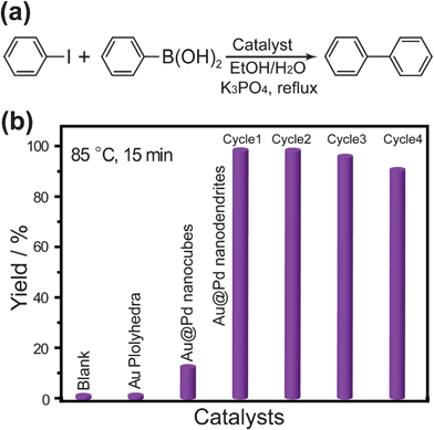 (a) The equation of the Suzuki coupling reaction between phenylboronic acid and iodobenzene. (b) Yields of biphenyl using different nanostructures as the catalyst and cycle performance of Au@Pd core–shell nanodendrites.