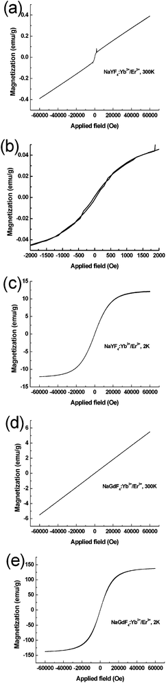 Magnetization curves of NaYF4:Yb3+/Tm3+ microrods measured at 300 K (a), local magnification image (b) and at 2 K (c), and NaGdF4:Yb3+/Er3+ submicrorods measured at 300 K (d) and 2 K (e), respectively.