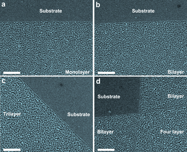Thickness-dependent morphologies of a 1.6 nm Pd film on n-layer graphenes. Scale bar: 200 nm. (a) Pd film on substrate (top) and monolayer graphene (down). (b) Pd film on substrate (top) and bilayer graphene (down). (c) Pd film on trilayer graphene (left) and substrate (right). (d) Pd film on substrate (top left), bilayer (top and down left) and four layer (right) graphene. It is obviously observable that Pd film morphologies on n-layer graphenes exhibit thickness-dependent behaviors.