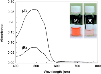 UV-vis absorption spectra of (A) the DOX solution before being loaded into the rattle-structured AuNR@mSiO2 and (B) the DOX solution after being loaded into the nanoparticles, interacting with them, and then being unloaded from the nanoparticles. Inset: photograph of vials containing DOX solutions corresponding to the spectra in (A) and (B). The more deeply colored solutions faded to light orange, which indicates that the DOX was loaded in the rattle-structured nanomaterials.