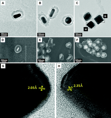 Shape evolution of gold cores grown in rattle-structured AuNR@mSiO2. TEM and field-emission scanning electron microscopy (FE-SEM) images obtained by changing the HAuCl4 concentrations to (A and D) 0.03 mM, (B and E) 0.15 mM, and (C and F) 0.6 mM. (G and H) HR-TEM images of the edge of the regrown Au core.