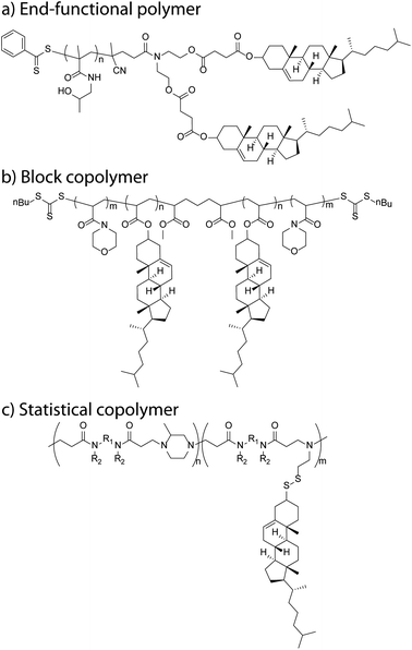 Schematic examples of cholesteryl-functional polymers: (a) bis-cholesteryl end-functional P(HPMA),57 (b) ABA triblock copolymer (PNAM-b-PChA-b-PNAM),94 and (c) poly(amidoamine)-co-(amidoamine disulfide cholesteryl) copolymer.102