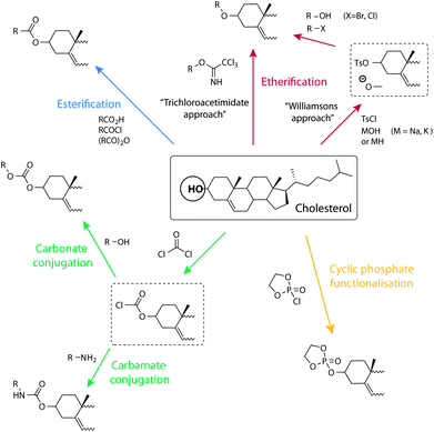 Schematic illustration of synthetic opportunities and conjugation strategies to the cholesterol alcohol. Clockwise from the top: etherification through the trichloroacetimidate approach and via Williamson's ether synthesis, dioxaphospholane cyclic phosphate functionalisation, carbamate and carbonate conjugation through a chloroformate, and esterification.