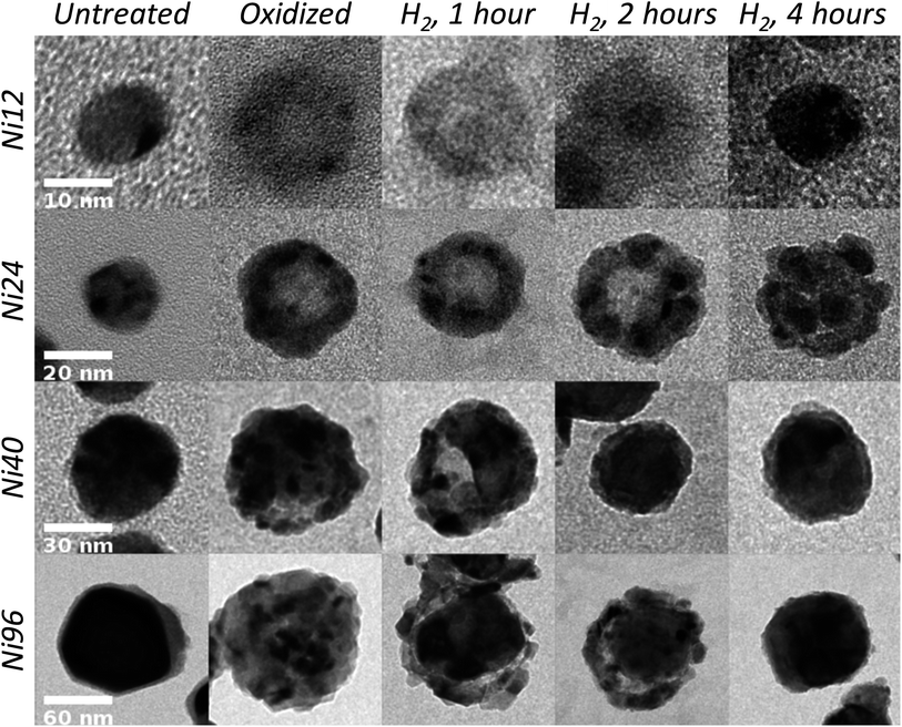 TEM images of 12, 24, 40, and 96 nm diameter Ni nanoparticles before oxidation, after oxidation, and after reduction for 1, 2, or 4 hours. Each row has a common scale bar.