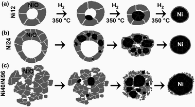 Graphical depictions of the nanostructural transformations that accompany reduction with H2 over a period of several hours at 350 °C for (a) Ni12, (b) Ni24, and (c) Ni40 and Ni96 nanoparticles. Black coloring depicts Ni, and NiO is shaded gray. White and gray lines indicate grain boundaries.