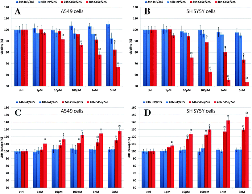 (A and B) WST-8 proliferation assay and (C and D) LDH assay on A549 and SH SY5Y cells incubated with increasing concentrations of InP/ZnS and CdSe/ZnS QDs at different times (24 and 48 h). Ctrl identifies the negative controls in the absence of QDs. Data are reported as mean ± SD from three independent experiments; *P < 0.05 compared with control (n = 8).