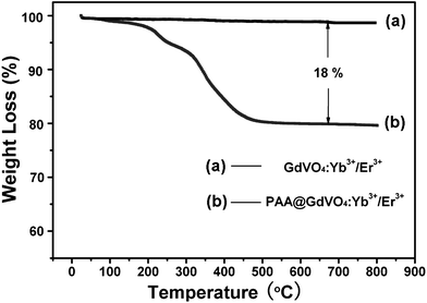 TG curves of GdVO4:Yb3+/Er3+ hollow spheres (a) and PAA@GdVO4:Yb3+/Er3+ composites (b).
