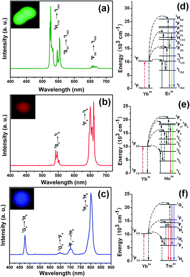 Up-conversion emission spectra of PAA@GdVO4:Yb3+/Er3+ (a) PAA@GdVO4:Yb3+/Ho3+ (b), and PAA@GdVO4:Yb3+/Tm3+ (c). Inset is the corresponding photographs of the samples under 980 nm IR light irradiation. Schematic illustration of the transition energy levels for the Yb3+–Er3+ (d), Yb3+–Ho3+ (e), and Yb3+–Tm3+ (f) systems.