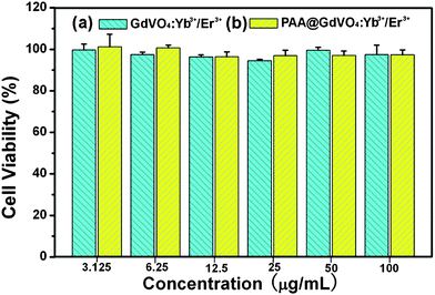 The L929 fibroblast cells viabilities after incubation with GdVO4:Yb3+/Er3+ hollow spheres (a) and PAA@GdVO4:Yb3+/Er3+ composites (b) for 24 h measured by MTT assay.