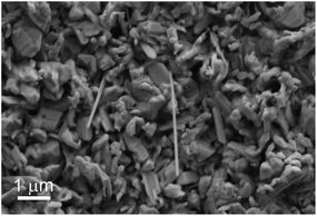 SEM image of the reaction product.