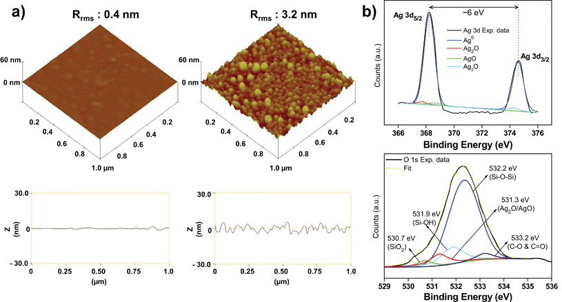 (a) 3D topographical AFM image of a pristine amine-functionalized glass surface (left panel) and a silver nanoparticle immobilized glass substrate (right panel). Rrms indicates the mean square roughness calculated on a 1 × 1 μm2 surface area. On the bottom of each image, corresponding line profiles are presented. (b) Representative XPS spectra taken for an AgNP immobilized glass substrate showing high resolution Ag 3d spectrum (top), and high resolution O1s spectrum (bottom).