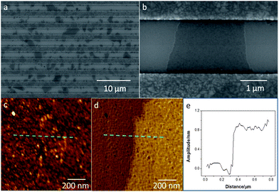 (a and b) SEM images of TRMGO sheets across the electrode gaps. AFM data (tapping mode) of TRMGO on the silicon wafer: (c) height and (d) phase images of the same zone at a cross-sectional area. The dashed line indicates a scanning trace of the TRMGO. (e) Height profile of TRMGO obtained by scanning from bare silicon wafer to TRMGO.