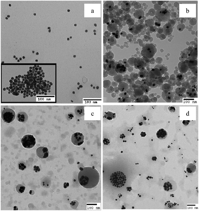 Transmission electron (TEM) images of (a) PS-thiol grafted AuNPs in THF (130 000× magnification). Inset shows TEM images of citrate-stabilized AuNPs in water (13 000× magnification) (b) P3[Au–Si] (64 000× magnification) (c) P5[Au–Si] (64 000× magnification) (d) P7[Au–Si] (64 000× magnification). Because of the low scattering factor of Si, TEM cannot confirm the presence or absence of SiQDs within the polymer matrix.