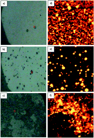 Reflected light image of (a) P3[Au–Si] (b) P5[Au–Si] and (c) P7[Au–Si] and confocal luminescence spectrum images of (d) P3[Au–Si] (e) P5[Au–Si] and (f) P7[Au–Si] polymer composite nanoparticles respectively. The polymer composite nanoparticles samples were purified by dialysis and drop cast on a glass cover slip. Scale bar on the reflected image = 10 μm and scan size of luminescence images = 50 × 50 μm.