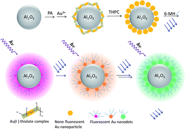 Synthesis Of Aluminum Oxide Supported Fluorescent Gold Nanodots For The Detection Of Silver Ions Nanoscale Rsc Publishing Doi 10 1039 C3nr00713h