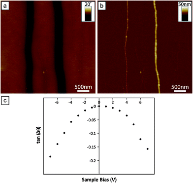 (a) SCM phase image of DNA-templated Fe nanowires supported upon a n-Si〈100〉/200 nm SiO2 wafer, recorded at an applied bias potential of +7 V. The negative phase contrast associated with the nanowires is indicative of structures which are electrically conductive. (b) The corresponding AFM height image of the nanowires featured in (a). The mean diameters of the two nanowires present in the image are 4.7 nm (left) and 12.0 nm (right), respectively. (c) Plot of the tangent of the nanowire phase shifts (measured from the 12.0 nm diameter wire) against the bias potential applied to the sample. The parabolic relationship observed indicates capacitance effects of the conductive wire dominate the probe–sample interactions.