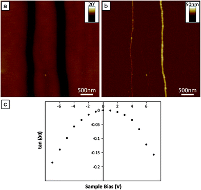 Electrically conductive magnetic nanowires using an 