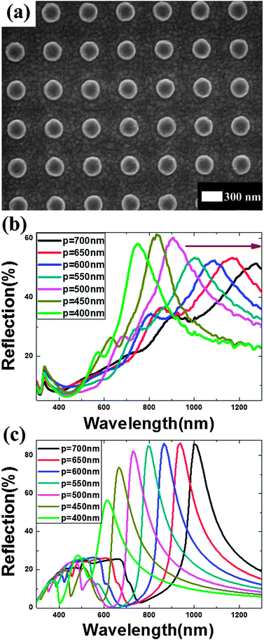 (a) SEM image showing the top view of a silver nanorod array with period p = 550 nm. (b) Measured and (c) calculated reflection spectra for nanorod arrays with periodicities from 400 nm to 700 nm. The arrow indicates increasing periodicities.