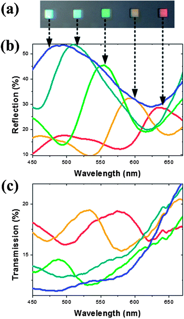 (a) Optical image showing the reflective colors from different silver nanorod arrays. Measured reflection (b) and transmission (c) spectra of the corresponding arrays as a function of wavelengths.
