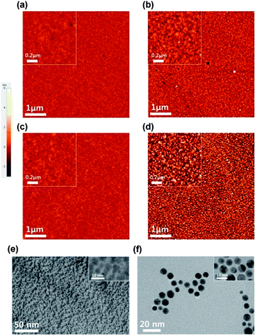 AFM and TEM images: (a–d) AFM surface topographic images (5 μm × 5 μm) (a) before and (b) after the formation of Ag nanoparticles on P2VP brushes using a chemical reduction process, and (c) before and (d) after the attachment of Au nanoparticles onto the PS brushes. TEM images of (e) Ag nanoparticles and (f) Au nanoparticles. The insets show enlarged images.