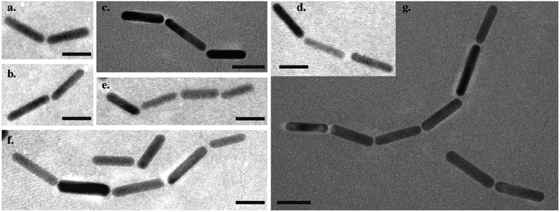 TEM images depicting the alignment of AuNRs (2) with 3bvia CB[8] ternary complex formation. (a and b) Dimers of AuNRs, (c and d) trimers of AuNRs, (e) tetramer of AuNRs, (f) pentamer and dimer of AuNRs and (g) hexamer and dimer of AuNRs. Scale bars = 25 nm.