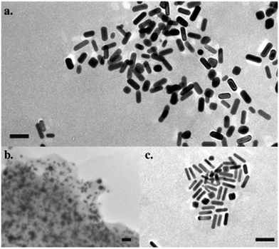 TEM images of (a) 2 in the presence of 3b and CB[7], (b) 2 in the presence of 3a and CB[8], and (c) 2 in the presence of 3b, CB[8] and 4. Scale bars = 50 nm.