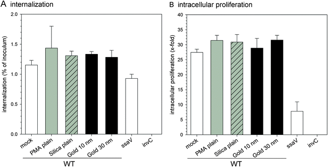 Effect of NPs on virulence functions of Salmonella. Internalization of S. typhimurium by HeLa cells (A) and intracellular proliferation of S. typhimurium in HeLa cells (B) were analyzed after pre-incubation without or with various NPs. Isogenic WT, SPI2-deficient (ssaV) and SPI1-deficient strains (invC) were used to infect HeLa cells at an MOI of 2. Cells were lysed by addition of 0.1% Triton X-100 in PBS at 2 h or 14 h p.i. and plated onto agar plates to determine the amounts of intracellular bacteria. The internalization is expressed as the percentage of the bacterial inoculum applied for invasion; and the x-fold replication is the ratio of the intracellular bacteria at 14 h divided by the 2 h values. The graphs show means and standard deviations of assays performed in triplicate and datasets representative of three independent experiments are shown.