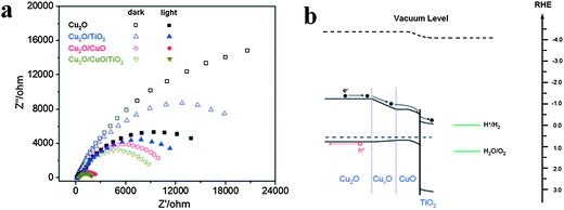 (a) EIS data of Cu2O, Cu2O/CuO and Cu2O/CuO/TiO2 nanowire array based photocathodes both in the dark and under light; (b) energy band diagram and charge transfer for Cu2O/CuO/TiO2 (reprinted with permission from ref. 117, copyright 2013 Royal Society of Chemistry).