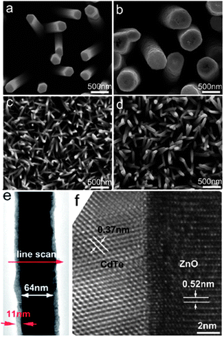 ZnO nanorod arrays (a) before and (b) after electrodeposition (160 nm thick shell) with total charge of 6.7 C; ZnO nanorod arrays (c) before and (d) after electrodeposition (11 nm thick shell) with total charge of 0.7 C. (e) Low-magnification TEM image showing the uniform morphology of a single CdTe/ZnO nanocable; (f) typical HRTEM image taken from the same CdTe/ZnO nanocable, showing the interface and crystalline structure of the nanocable (reprinted with permission from ref. 48, copyright 2010 American Chemical Society).