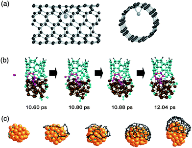 Comparison of cap and tube structures generated from tight-binding modelling approaches: (a) catalytic Ni atom moving into the interior of the nanotube leaving a carbon vacancy on the wall resulting in distortions of the SWCNT (adapted with permission from Andriotis et al.126), (b) Fe-catalysed SWCNT growth using DFTB (adapted with permission from Ohta et al.128), and (c) Grand Canonical Monte Carlo (GCMC) simulations showing the nucleation of a cap from Ni nanoparticle (adapted with permission from Amara et al.137).