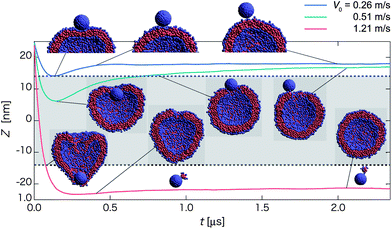 Time-dependent properties and cross-section snapshots (insets) after the collision towards the detachment state for the homogeneous hydrophilic nanoparticle with different initial velocities: V0 = 0.26 m s−1 (blue curve), 0.51 m s−1 (green curve), and 1.21 m s−1 (red curve). The normal axis shows Z = zNP − zv, where zNP and zv represent the z-positions of the nanoparticle and the vesicle center, respectively. The mean radius of the vesicle is denoted by dashed lines, and the gray-shaded region refers to the in-cell water region of the vesicle. (Each curve is plotted based on averaged data over twenty independent simulations.)