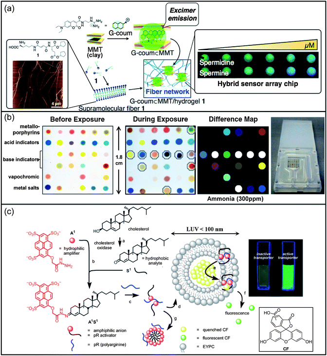 Self-assembled nanomaterials for detection. (a) Construction and mechanism of action of a fluorescent dye (G-coum) adsorbed on a MMT (montmorillonite)/supramolecular hydrogel 1 hybrid sensor system for polyamines; inset left: chemical structure of amino acid hydrogelator 1 and atomic force microscopy image of hydrogel 1 ([1] = 1.0 wt%/ion-exchanged water); inset right: photograph of the G-coum⊂MMT/hydrogel 1 hybrid sensor chip (λex = 365 nm) for fluorocolorimetric sensing of spermidine and spermine in artificial urine. (b) Colorimetric sensor array consisting of 36 different chemically responsive pigments which have been printed on a nonporous polyethylene terephthalate (PET) film, and images of the 36-dye colorimetric sensor array before exposure and after 2 min of exposure to ammonia at its IDLH (immediately dangerous to life or health) concentration at 298 K and 50% relatively humidity, and the generated color difference map; right: disposable low dead-volume self-sealing cartridge with the colorimetric sensor array printed directly on a PET flat. (c) Fluorogenic steroid sensing systems with cell-penetrating peptide (CPP) transporters as signal transducers and signal amplifiers (e.g., A1) that react with hydrophobic analytes (e.g., S1) to generate amphiphilic CPP activators. For cholesterol, signal generation with cholesterol oxidase (a) is followed by signal amplification with A1 (b). The obtained A1S1 conjugate and CPP (e.g., pR (polyarginine)) form pR– A1S1 transporters (c) that mediate the export of intravesicular 5(6)-carboxyfluorescein CF (d–f). Amphiphilic anions (e.g., A1S1) are CPP activators below (d–f) and CPP inactivators above their cmc (g); right: detection of active transporters as fluorescence recovery with CF-loaded vesicles. Panel (a): adapted with permission from ref. 376 and 377; (b) adapted with permission from ref. 367; (c) reproduced with permission from ref. 365 and 403.
