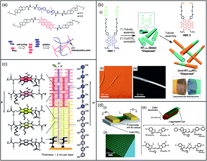 Self-assembled nanomaterials for photovoltaic devices. (a) Chemical structures of the oligothiophene and perylene organogelators with a schematic representation of their self-sorting organogel formation yielding p–n heterojunction points. (b) (i) Molecular structures of two HBCs and schematic illustrations of the preparation of a supramolecular heterojunction made of semiconducting nanotubular segments; (ii) tapping-mode AFM and (iii) scanning TEM micrograph of the nanotubular segments. (c) Molecular structures of p-oligophenyl, p-oligophenylethynyl chromophores, and naphthalenediimides, together with their corresponding supramolecular heterojunction architectures resulting in oriented multicolored antiparallel redox gradients (OMARG). (d) Overview of a J-aggregate/CdSe nanowire color-selective photodetector; (i) schematic of J-aggregate-coated nanowires contacted between electrodes; (ii) optical micrograph, showing interdigitated electrodes used to grow and test devices. The faint brown shading between electrodes is the sparse network of CdSe nanowires; (iii) detail of J-aggregate-templated CdSe nanowires with the structure of J-aggregating dyes. Panel (a): reproduced with permission from ref. 283; panel (b): adapted with permission from ref. 290; panel (c): reproduced with permission from ref. 298; panel (d): reproduced with permission from ref. 301.