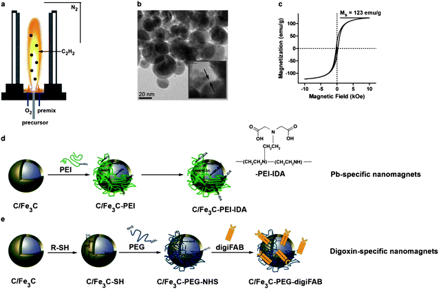 Nanoparticle synthesis, characterization and functionalization. Platinum-spiked carbon-encapsulated iron carbide nanoparticles are synthesized in a flame spray synthesis setting under a reducing atmosphere (a). Transmission electron micrographs show core–shell geometry with a carbon layer surrounding the highly magnetic core (b and c). The carbon surface can be chemically functionalized using physisorbed poly(ethylene imine) and iminodiacetic acid (d) or thiol-moieties which can be crosslinked with antibody fragments using a poly(ethylene glycol)-based crosslinker (e).