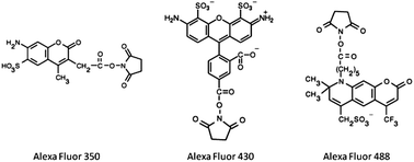 Volume labeling with Alexa Fluor dyes and surface functionalization of  highly sensitive fluorescent silica (SiO 2 ) nanoparticles - Nanoscale (RSC  Publishing) DOI:10.1039/C3NR02639F