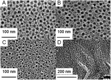 Top-view SEM images of mesoporous anatase–TiO2 film templated by PIB–PEO only (A), by mIL/mPIB–PEO = 5% (B), 100% (C) and IL only (D).